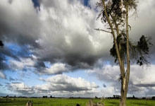 在泰国如何办理 “回头签”（Re-Entry Permit）：长期签证出入境攻略