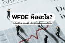 WFOE คืออะไร? ทำไมบริษัทต่างชาติส่วนใหญ่เลือกตั้งรูปแบบนี้ในจีน