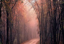 TMA GROUP ทำบุญส่งเสริมสิริมงคลให้แก่บริษัท