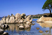 FDA ของไทยคืออะไร? สินค้าอะไรบ้างที่ต้องขอ อย. และขั้นตอนการขออนุญาต อย.