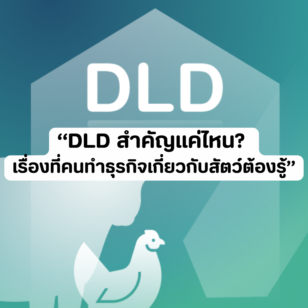 Account Services - 2026-05-29T151041.162.png